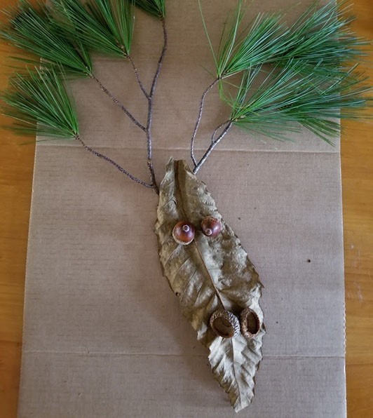 Collage of a moose head with pine needles for horns, acorns for eyes, and acorn caps for nostrils.