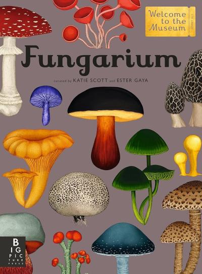 A variety of colorful mushrooms against a grey background