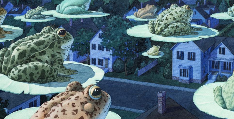 Illustration of flying frogs over houses. 